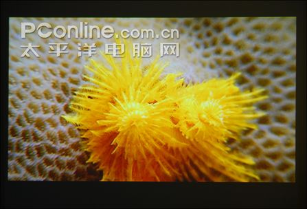 WPS720o(w)ͶӰϵy(tng)