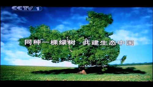 ҺҕTL-42W6000HоҕЧ