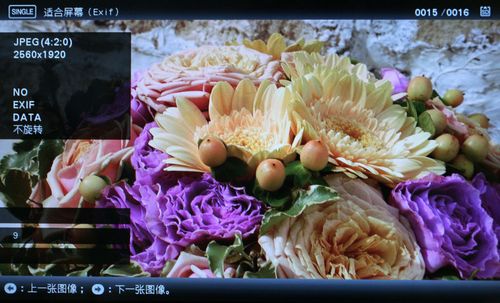 ᔵaDPF-V1000