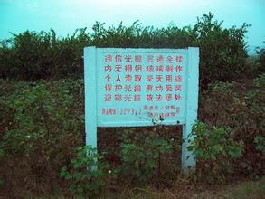 ҕcxҕ(bio)(zhn)uƠҪֵX