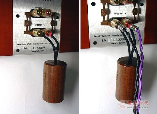 Stein MusicoӍ̖Speaker Match PlusȾV