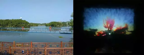 LTAˠ׃ɡӰħg
